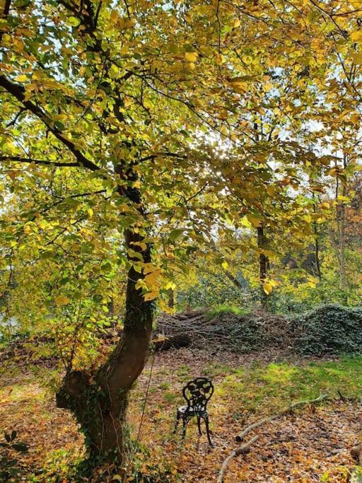 Ferienhaus Blauer See Mit Optionalem Hot-Tub Bockhorn  Bagian luar foto