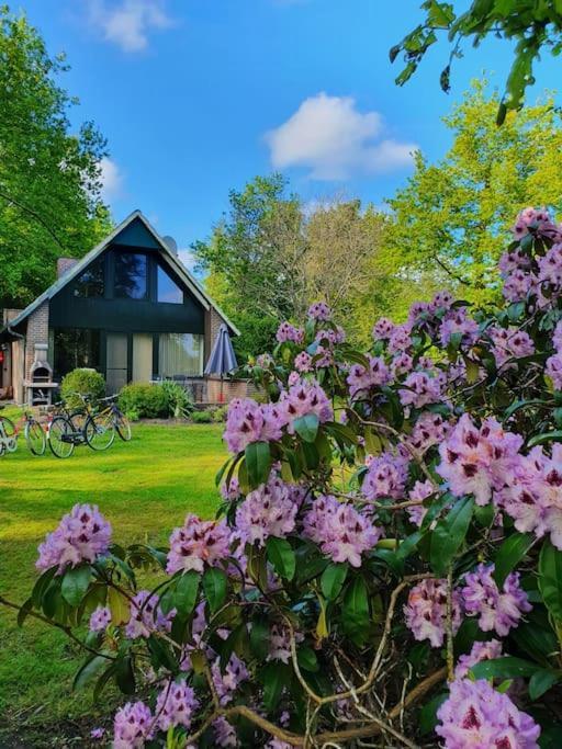 Ferienhaus Blauer See Mit Optionalem Hot-Tub Bockhorn  Bagian luar foto